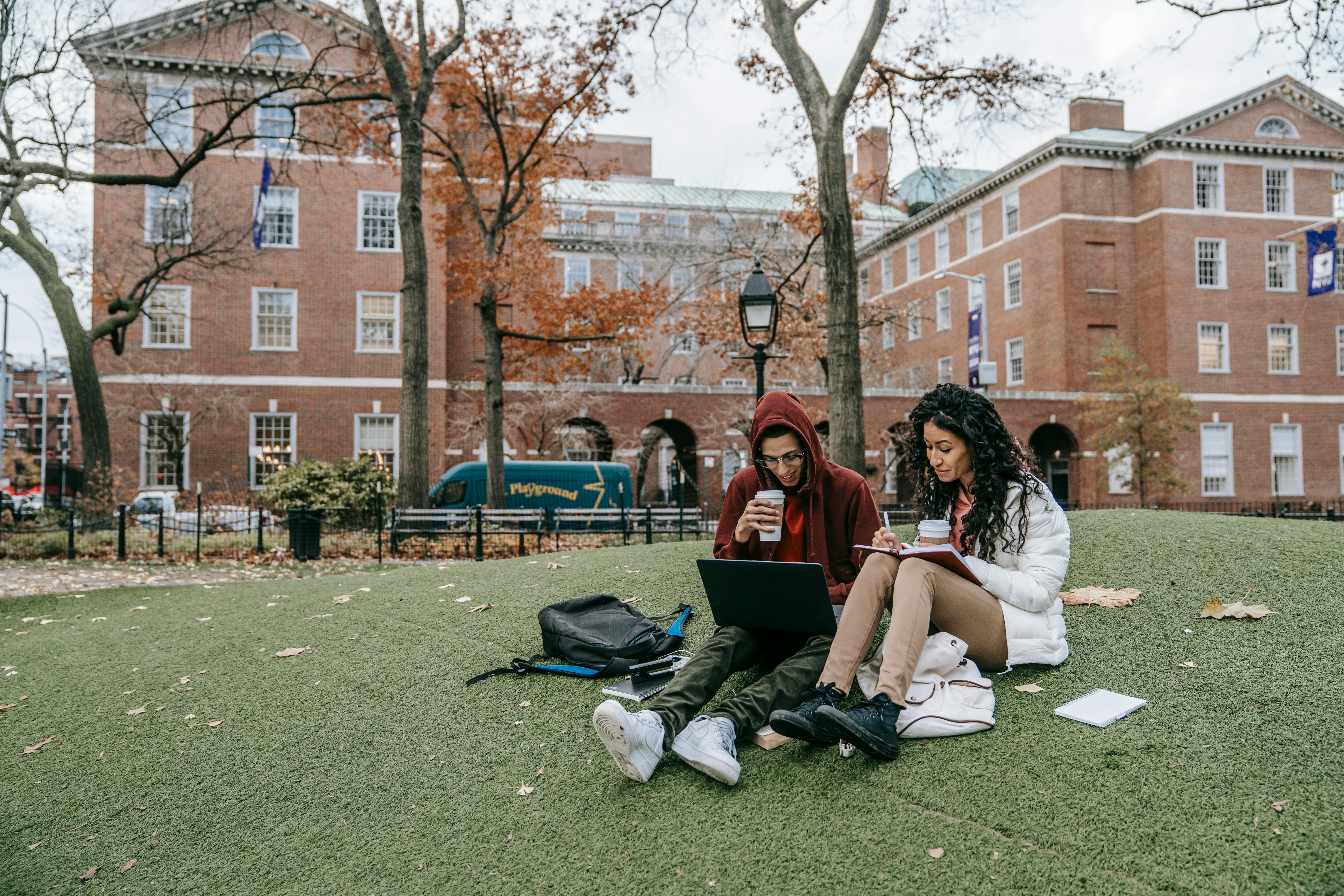 College-Studenten beim Lernen in einem Park | Quelle: Pexels