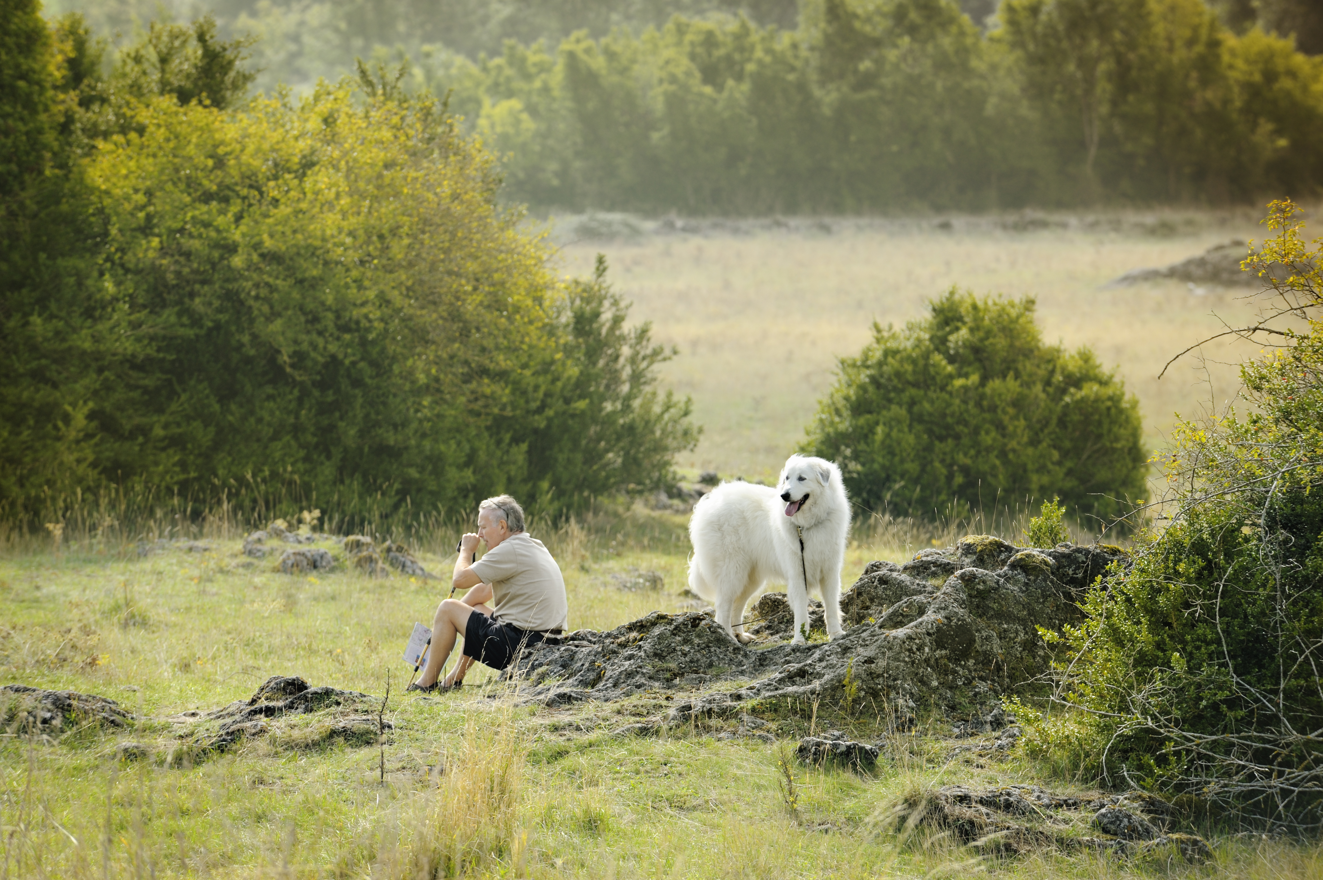 Ein Mann mit einem Pyrenäenhund | Quelle: Getty Images