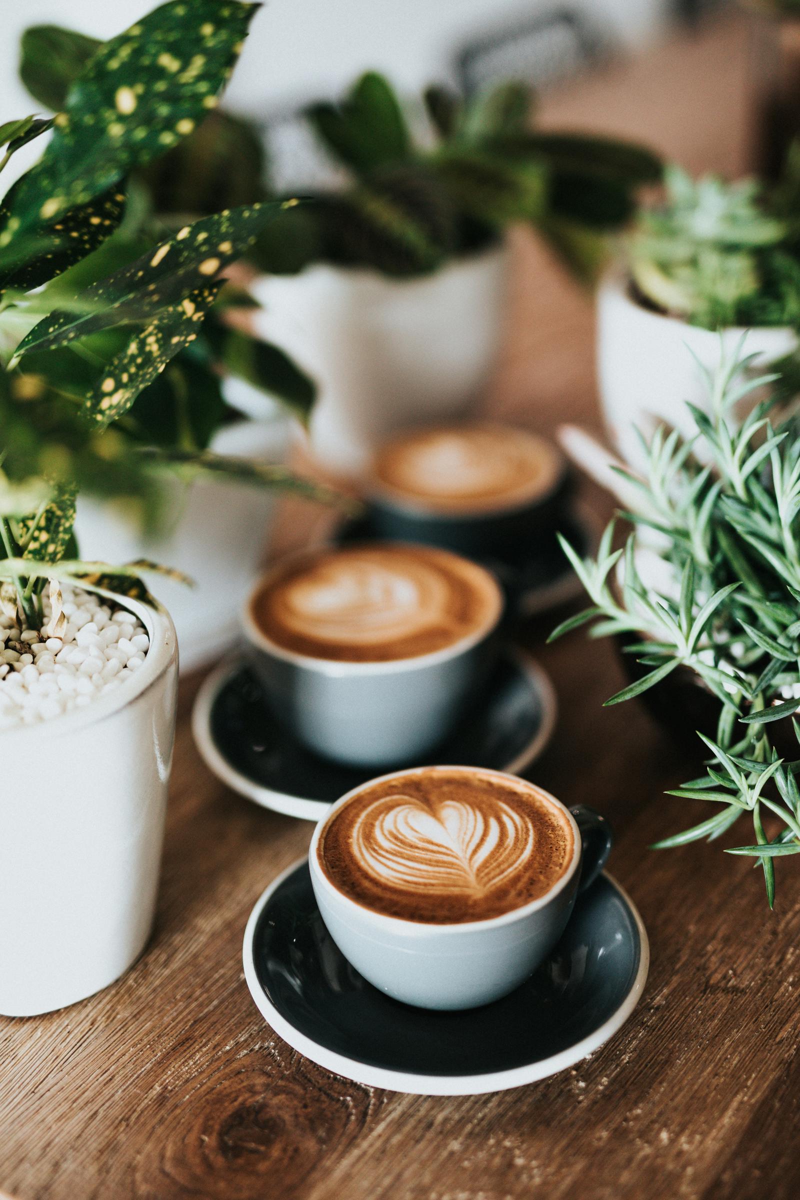 Mehrere Tassen Kaffee auf einem Tisch | Quelle: Unsplash