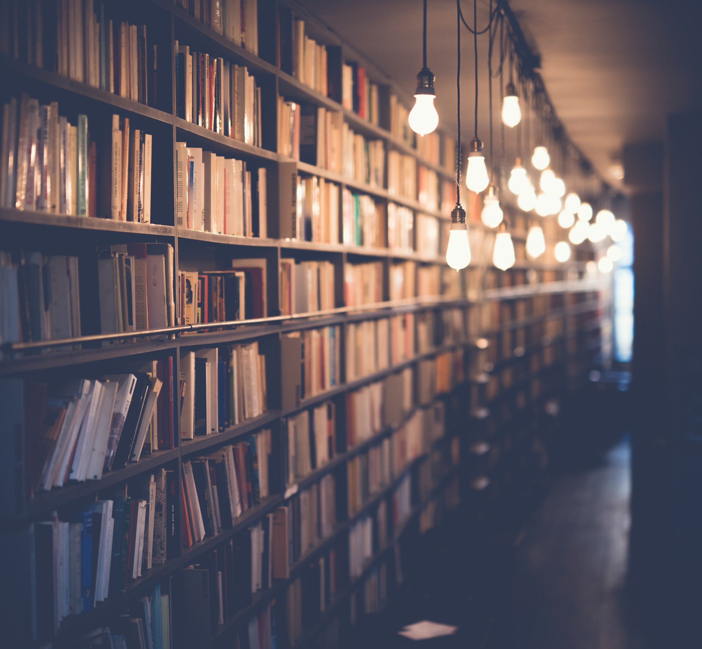 Eine Bibliothek mit hängenden Glühbirnen | Quelle: Unsplash