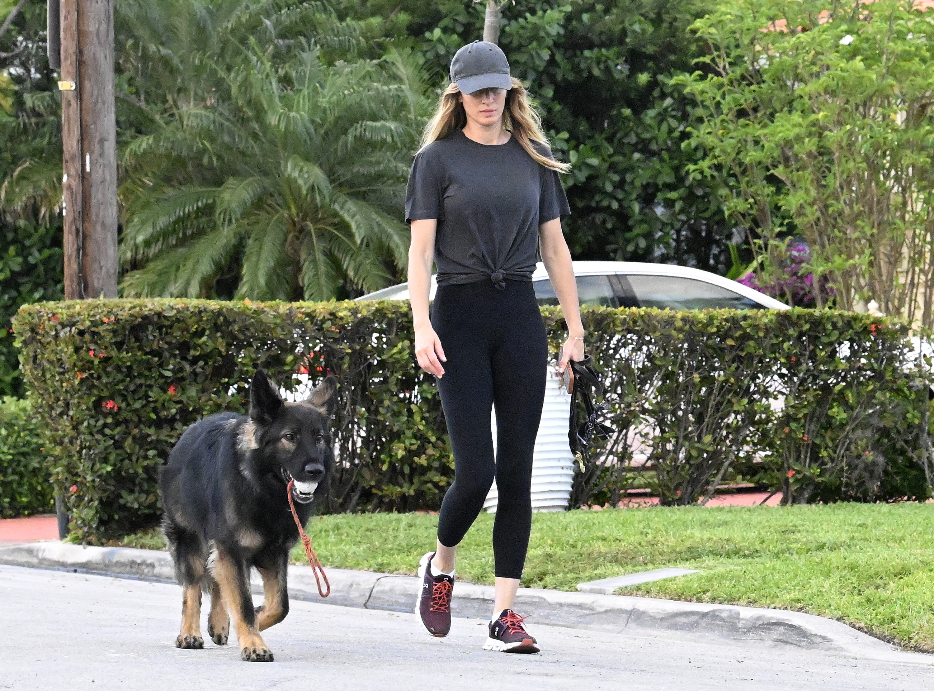 Gisele Bündchen wurde an einem anderen Tag mit ihrem Hund Alfie gesichtet. | Quelle: Getty Images