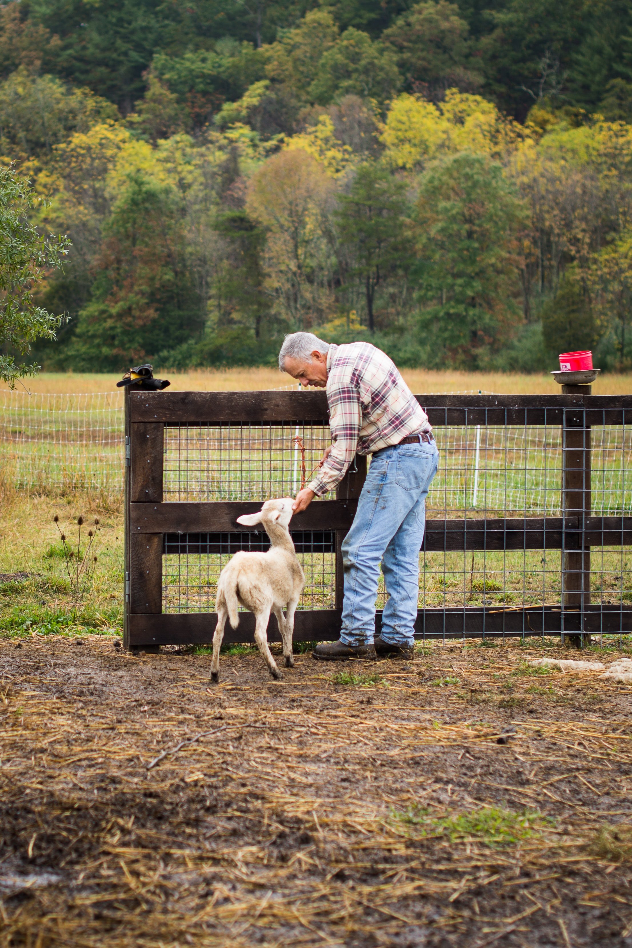 Frank Langley war ein Landwirt, Sohn und Enkel von Landwirten, und er liebte sein Land. | Quelle: Unsplash