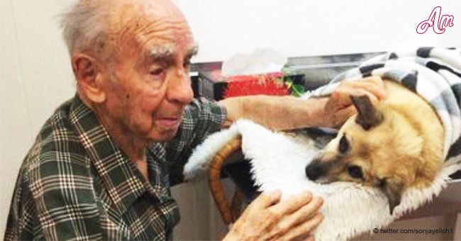 Ein 95-Jähriger ist gezwungen, sich von seinem einzigen Freund zu verabschieden