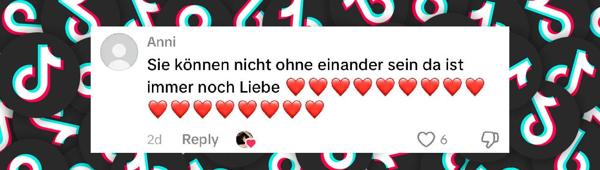 Zwischen Gänsehaut und Jubel: So bewegt der Moment die Fans im Netz | Quelle: tiktok.com//vt.tiktok.com/ZSXCARgeW