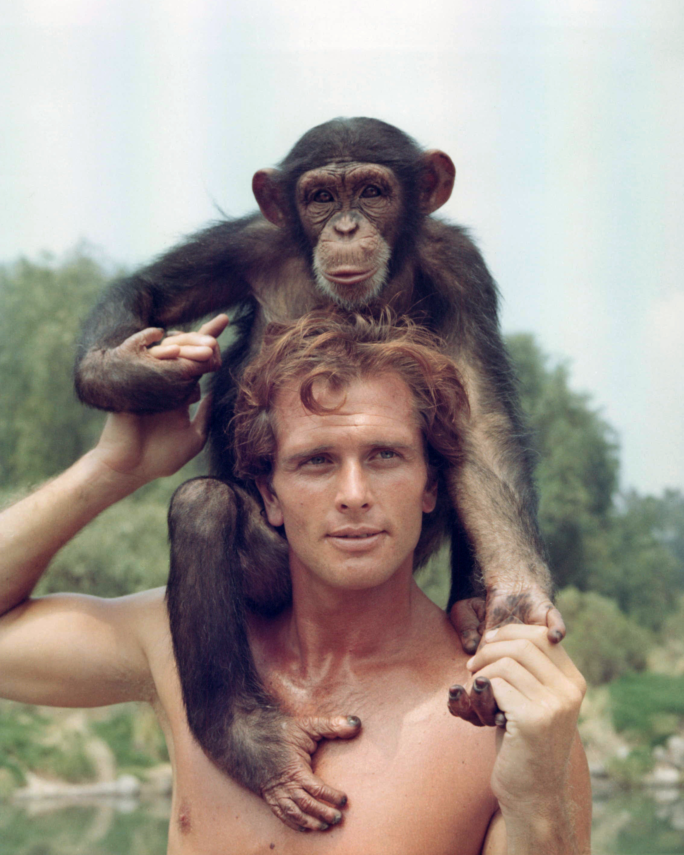 Ron Ely, US-amerikanischer Schauspieler, posiert mit nacktem Oberkörper und einem Schimpansen auf den Schultern auf einem Werbefoto für die US-Fernsehserie "Tarzan", um 1966. | Quelle: Getty Images