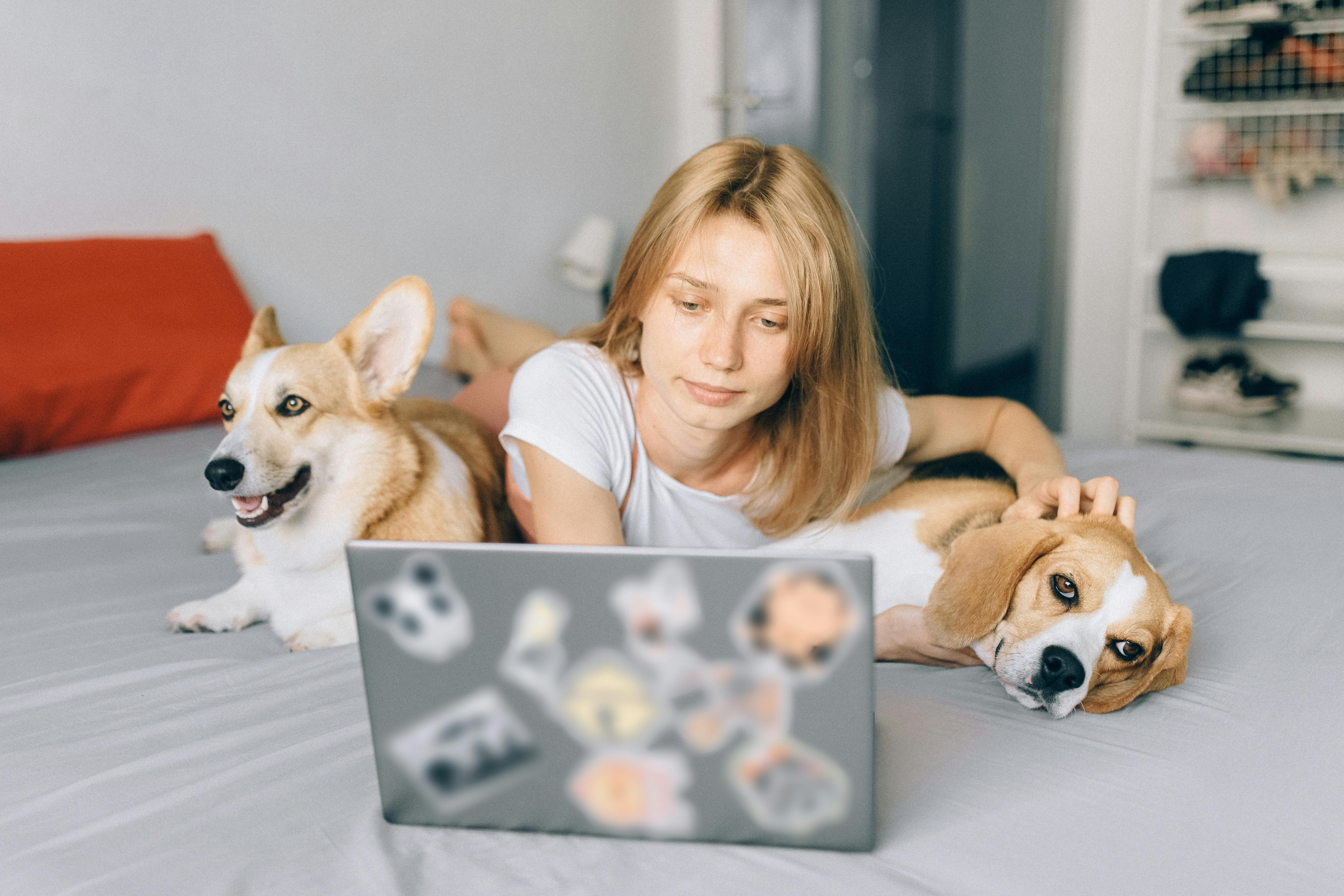 Frau mit ihren Hunden | Quelle: Pexels