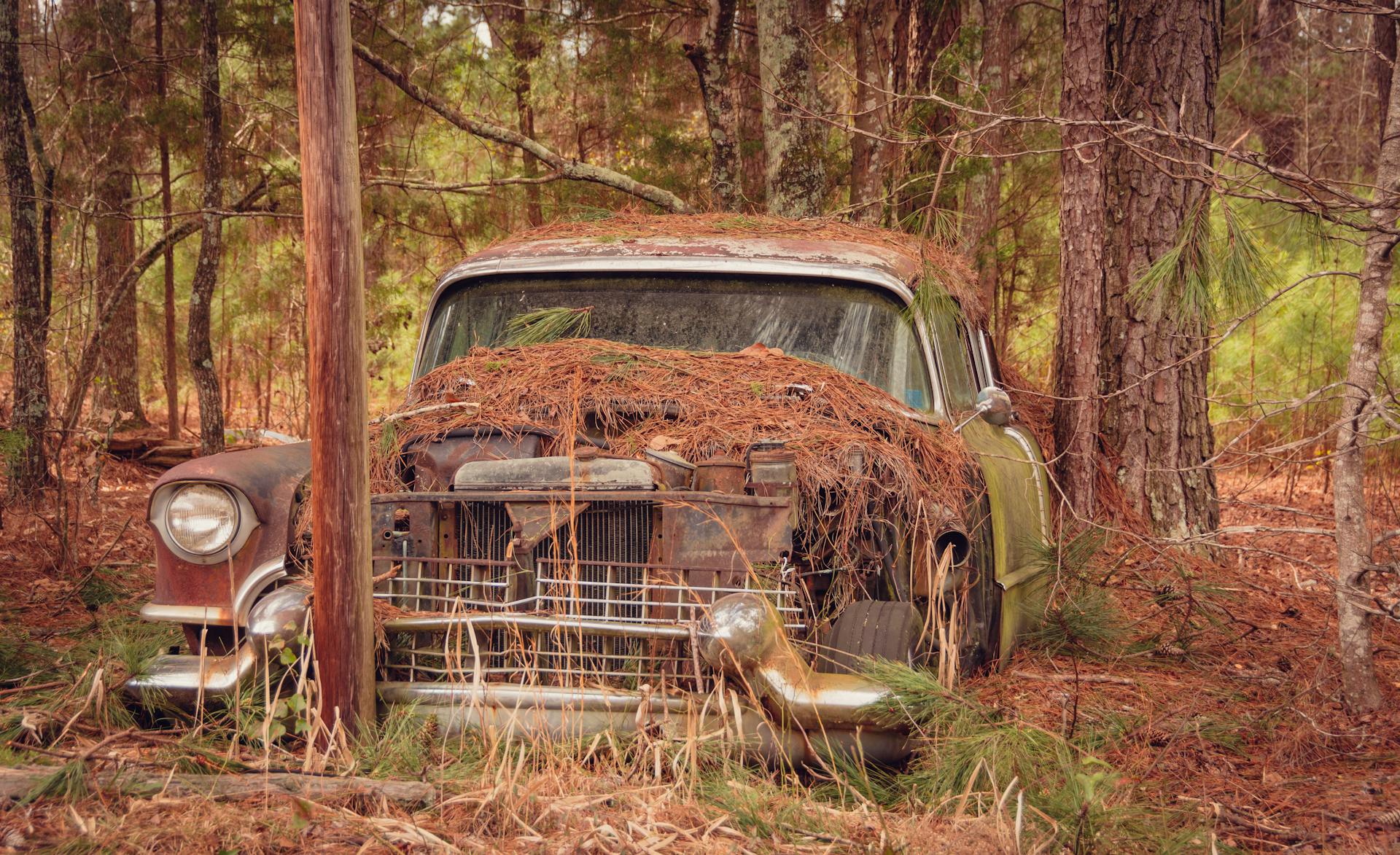 Ein verlassenes Auto in einem Wald | Quelle: Pexels