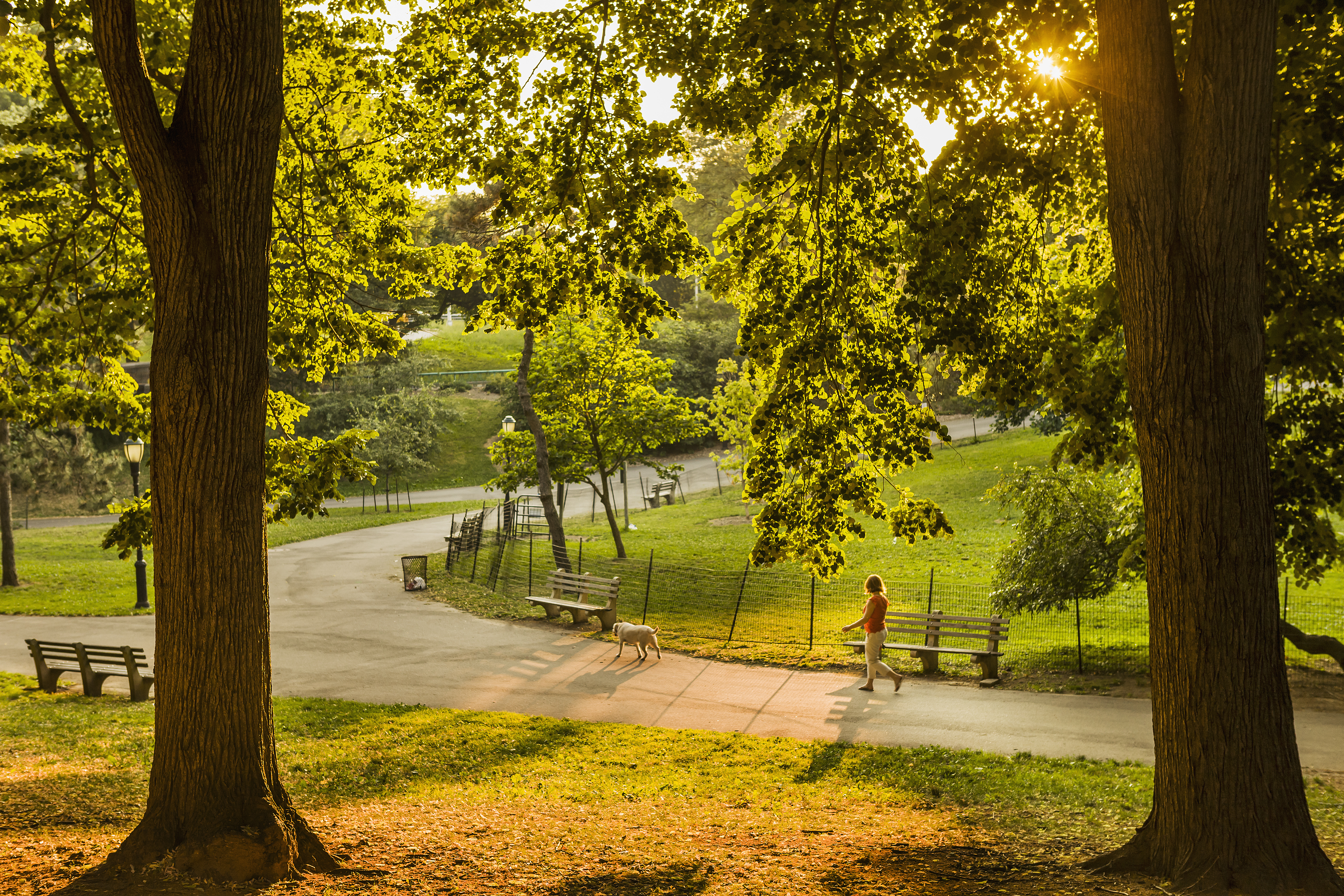 Ein Hundepark | Quelle: Getty Images