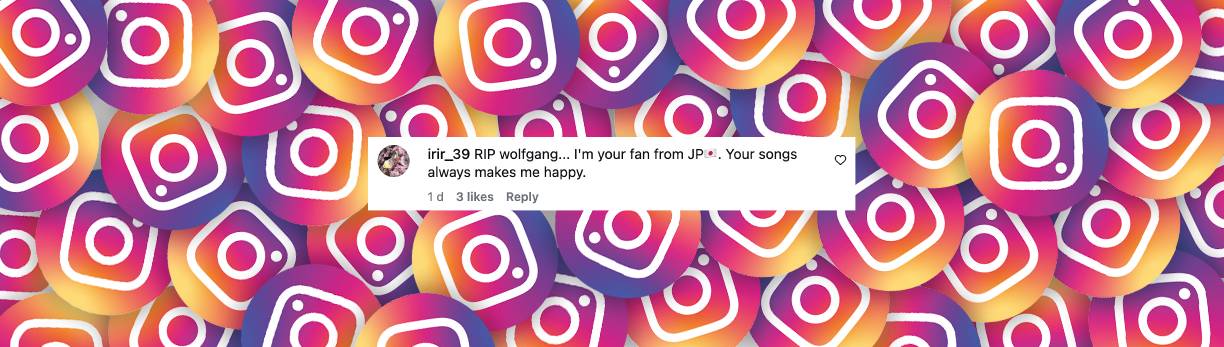 Nutzer kommentiert den Tod des Sängers | Quelle: Instagram/wolfgang_heichel_original