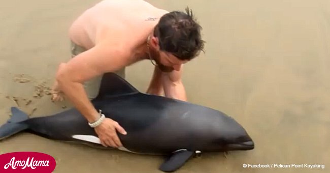 Ein Mann bemerkte einen kleinen, hilflos gestrandeten Delfin und kam ihm sofort zur Hilfe