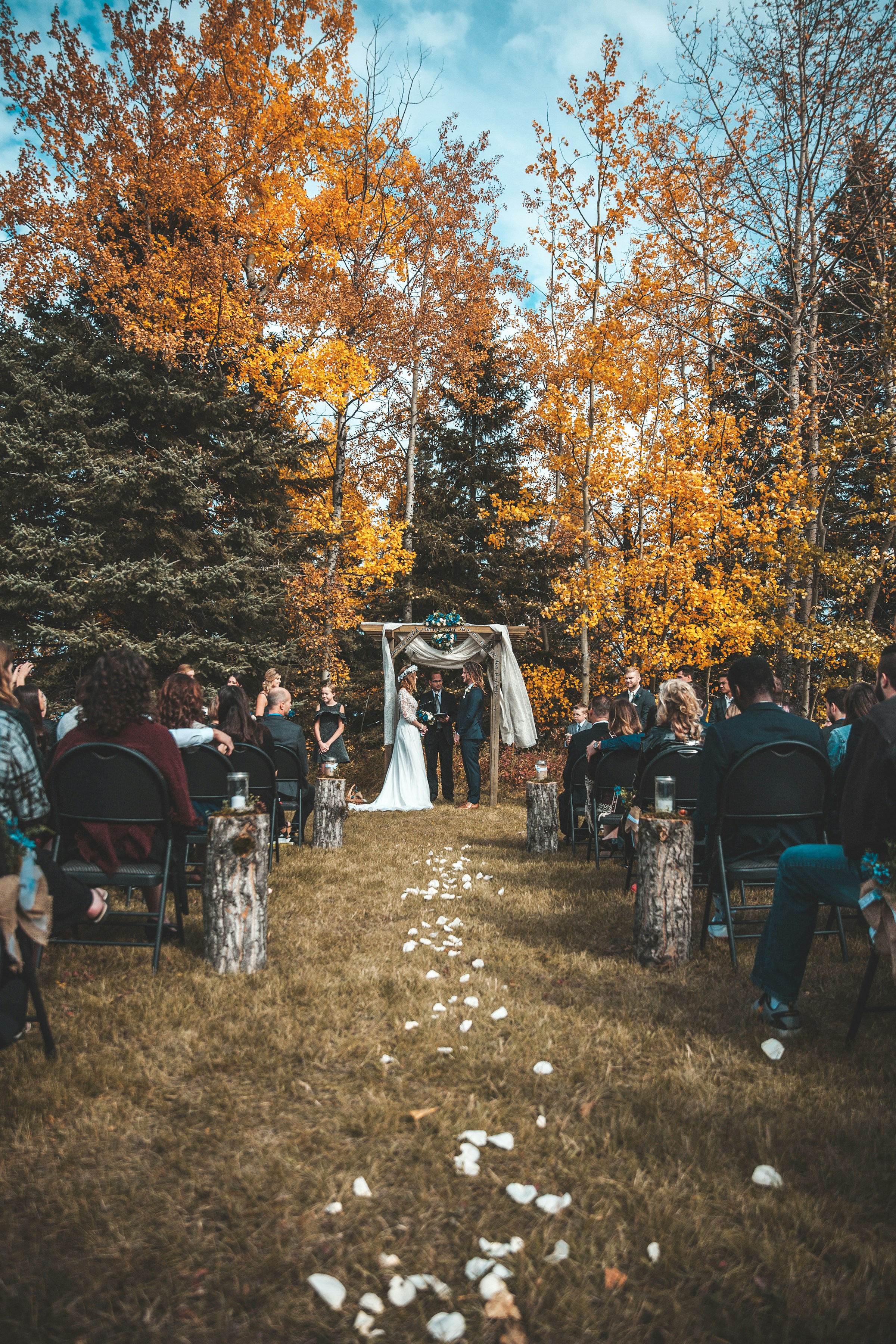 Eine kleine Hochzeit in der Nähe des Waldes | Quelle: Unsplash