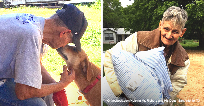 Todkranker Mann wünscht sich eine Unterkunft für seine Hunde zu finden
