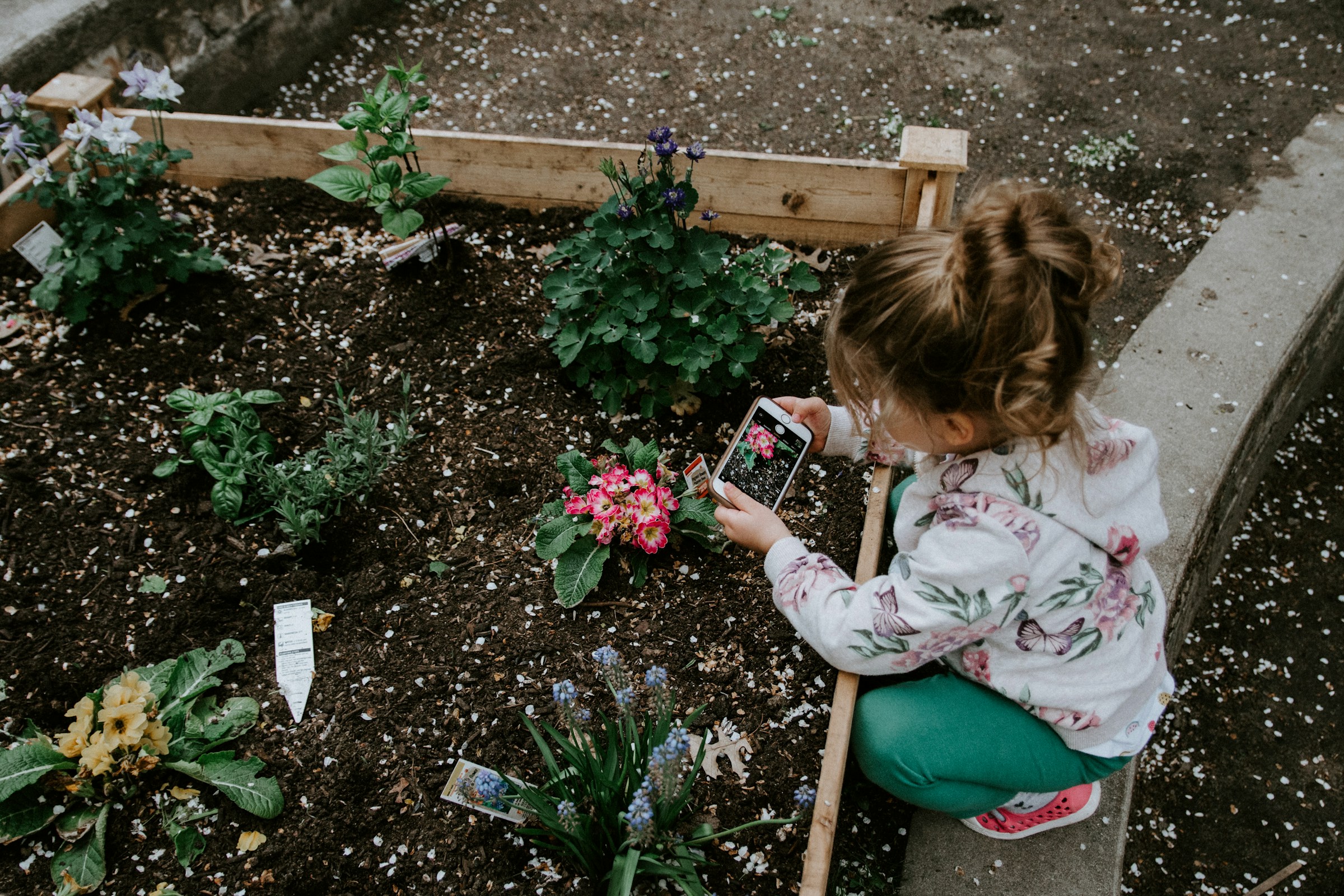 Ein kleines Mädchen in einem Garten | Quelle: Unsplash