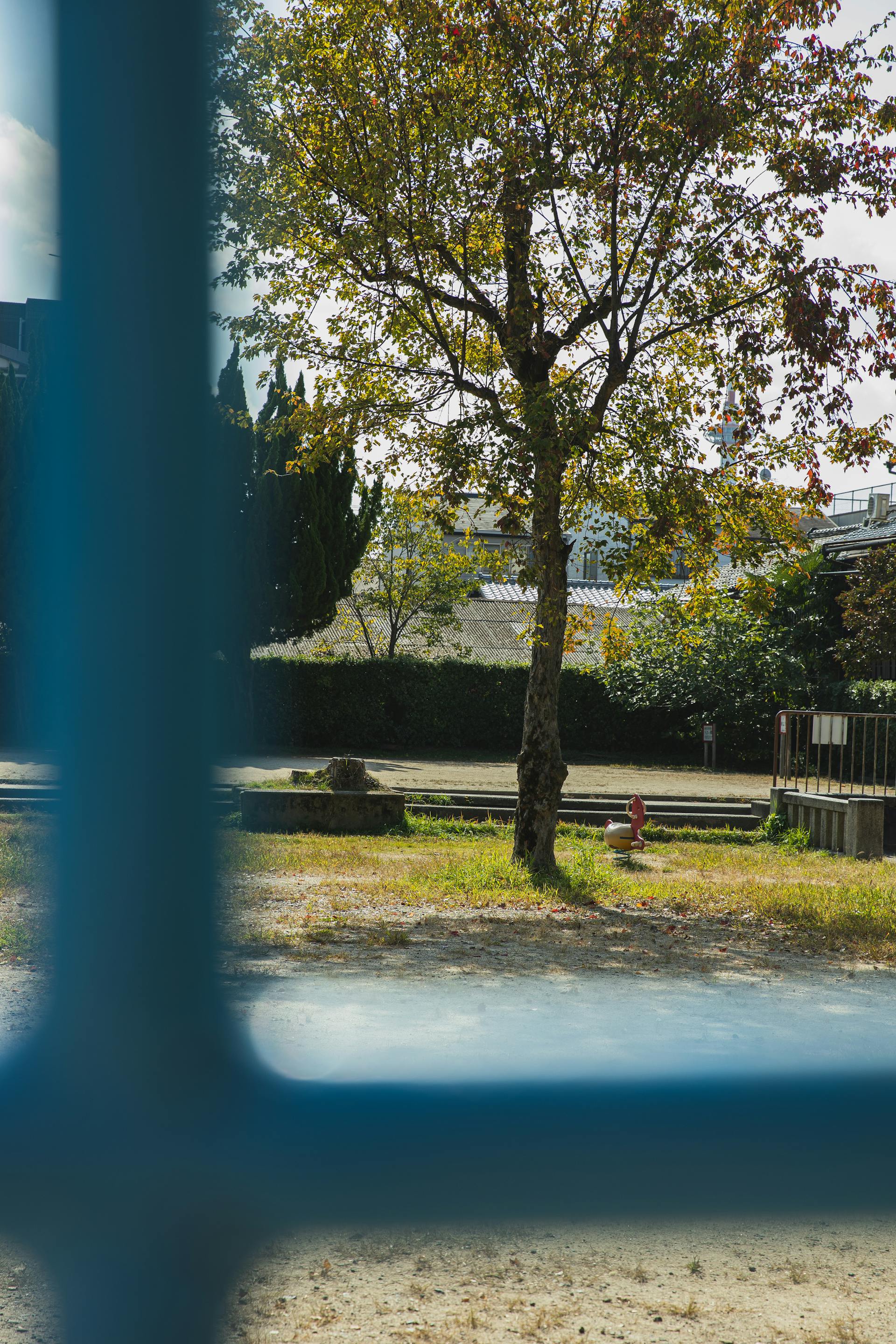 Blick aus dem Fenster auf einen leeren Hof | Quelle: Pexels