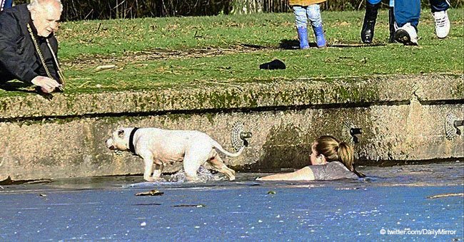 Frau schockiert Umstehende, als sie in gefrorenen See springt und einen Hund rettet