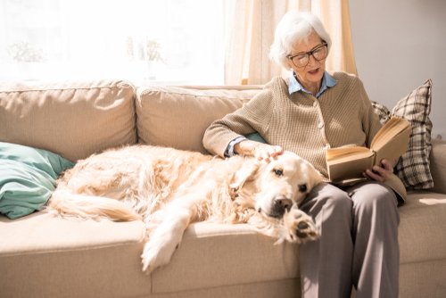 Ältere Frau liest ein Buch auf dem Sofa und streichelt ihren Hund | Quelle: Shutterstock