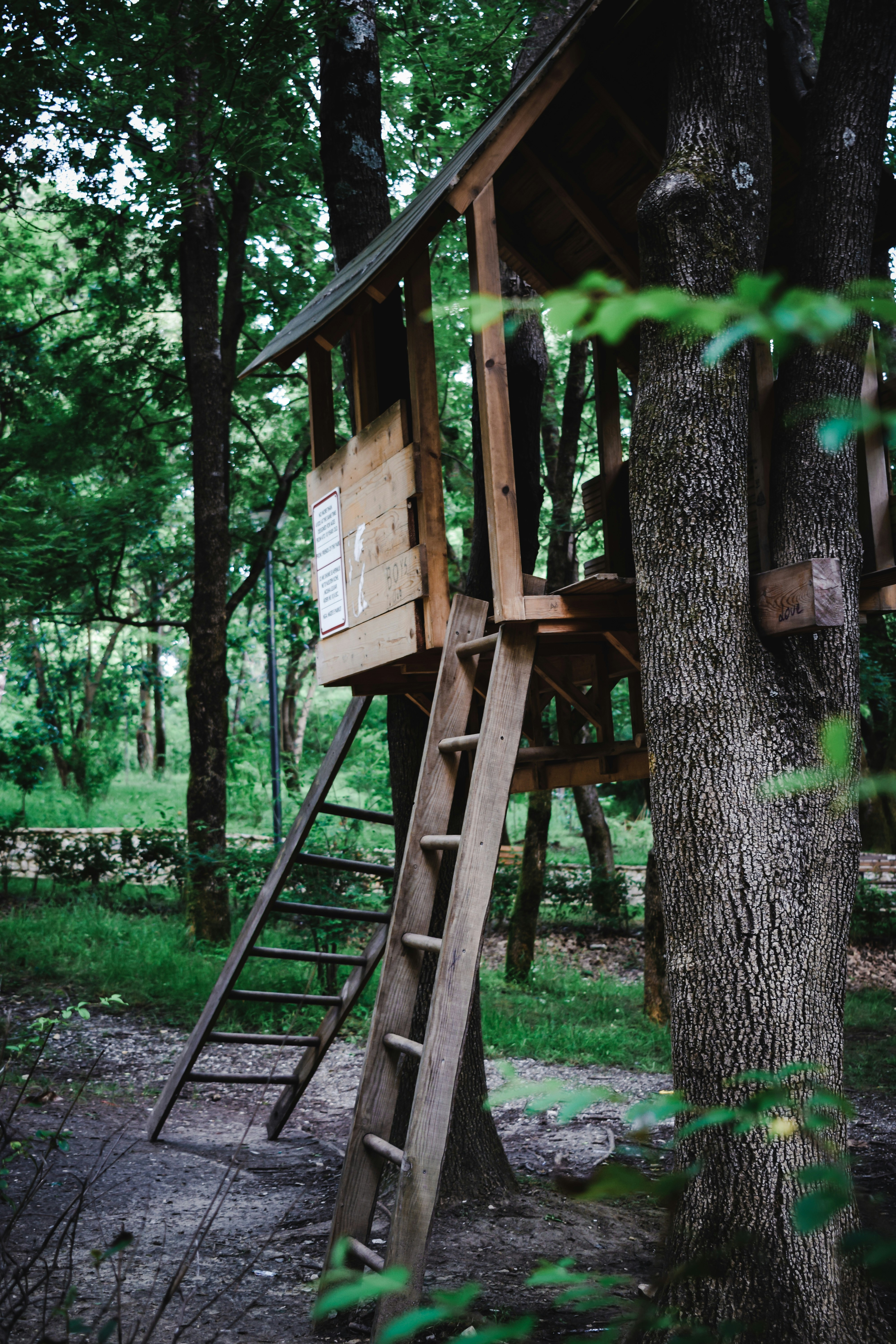 Ein Baumhaus | Quelle: Unsplash