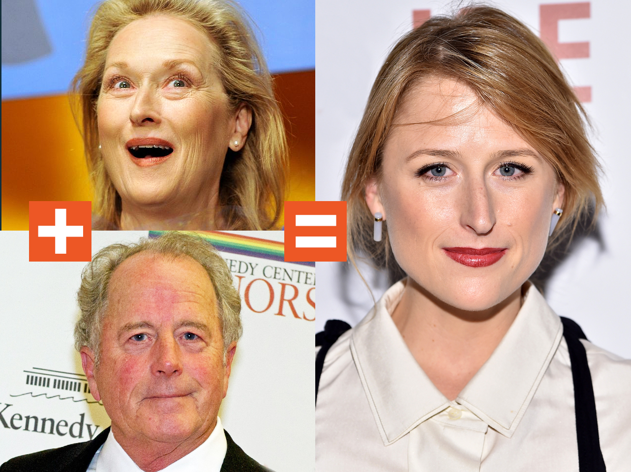 Eine Collage von Meryl Streep, Don Gummer und Mamie Gummer | Quelle: Getty Images