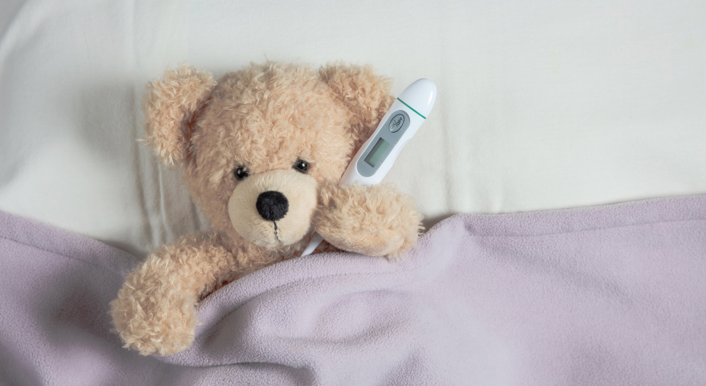 Niedlicher Teddy im Bett, mit einer warmen Decke I Quelle: Getty Images