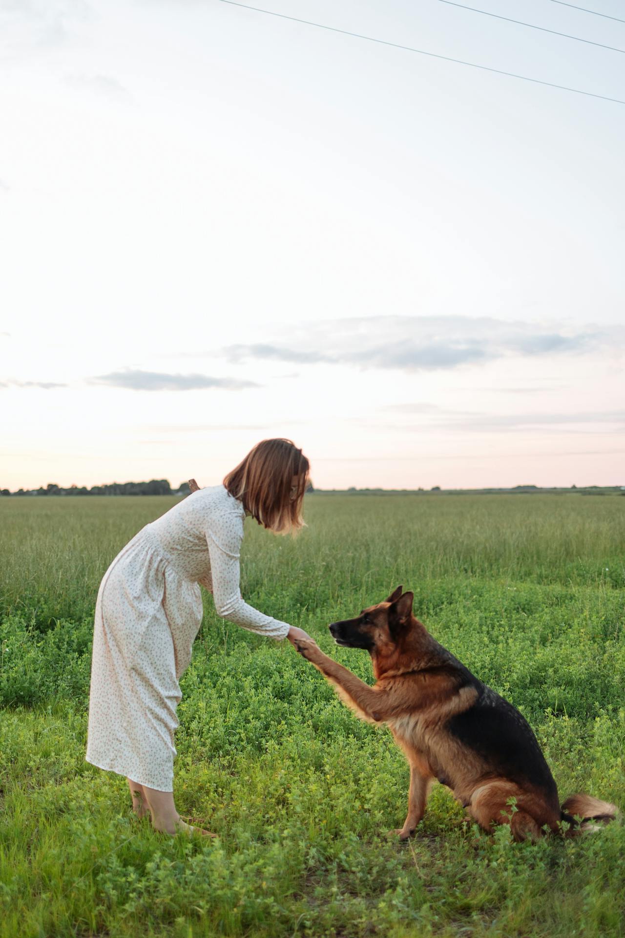 Eine Frau mit ihrem entzückenden Hund | Quelle: Pexels