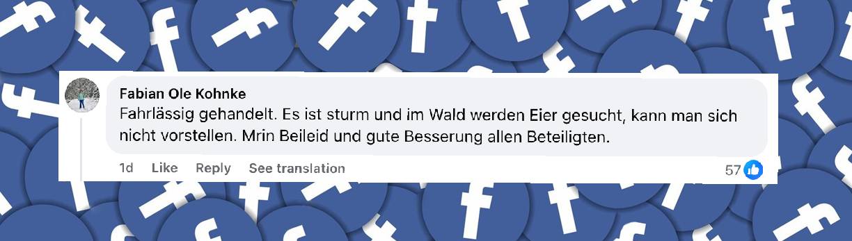 Reaktionen im Netz | Quelle: facebook.com/bild/posts/pfbid0ZzZWWhqoLSzgcfAUJhCWu5PytVLT5ED4Uomm92LXZJ788xxurVpUbKaWdVY8N5Xvl