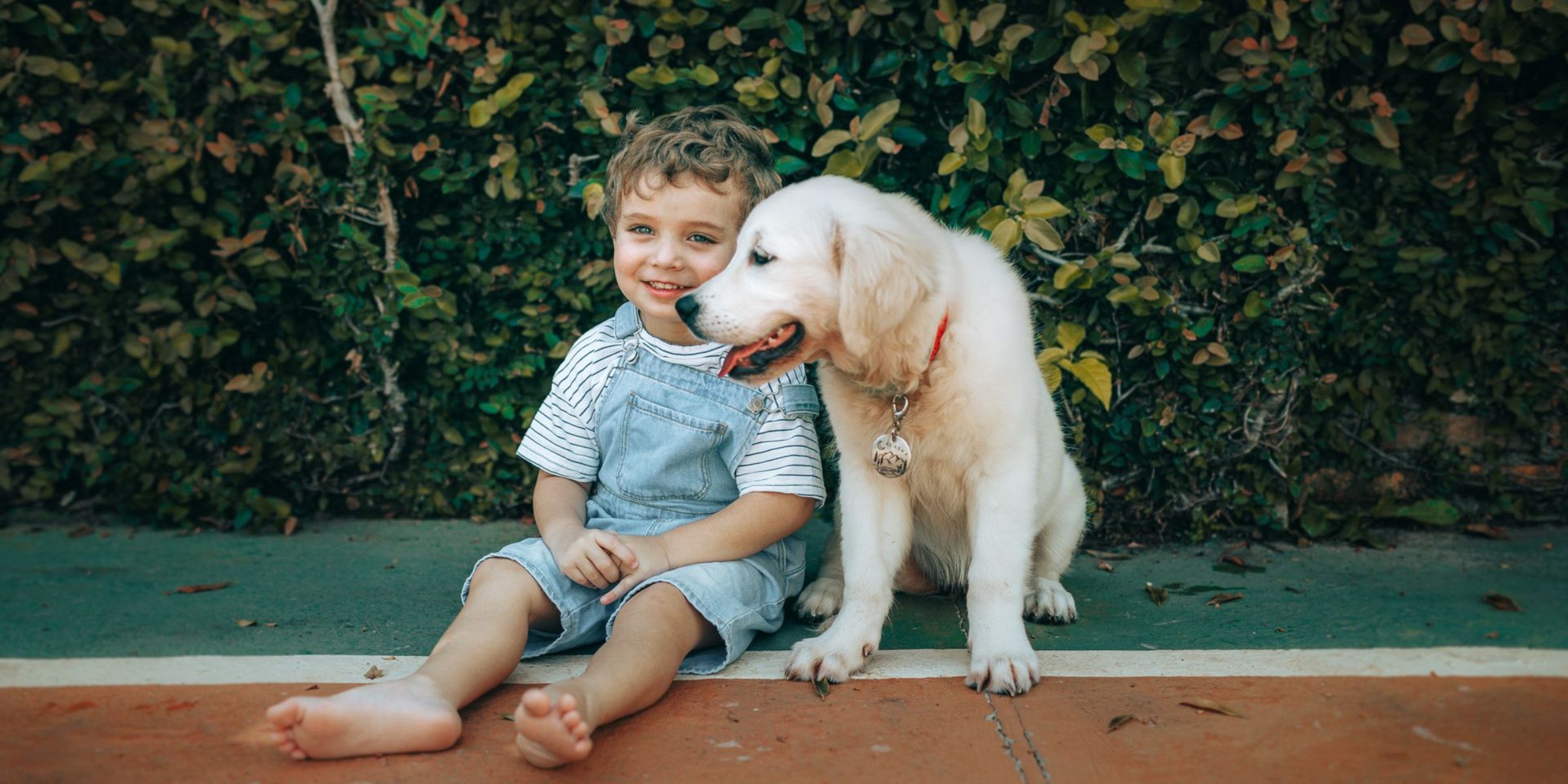 Ein Kind mit einem Hund | Quelle: Pexels
