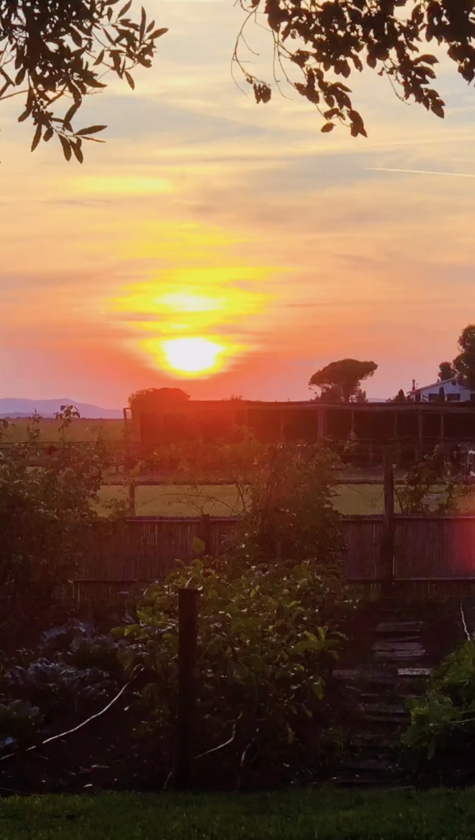 Ein Sonnenuntergang taucht die Landschaft rund um das Haus der Familie in Spanien in warme Farben und lässt die friedliche ländliche Umgebung jenseits des Grundstücks besonders gut zur Geltung kommen. | Quelle: Instagram/alejandragere