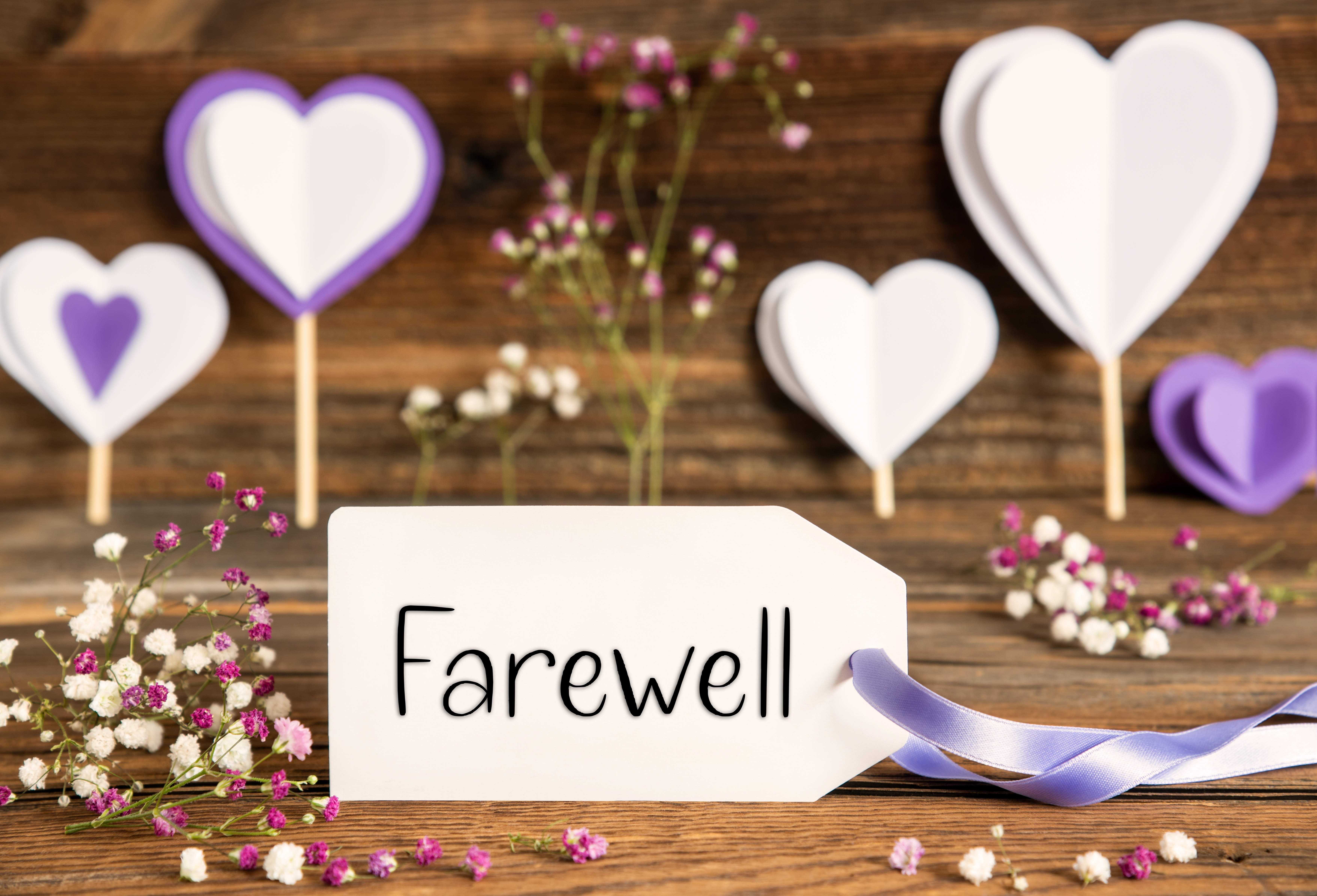 Eine Abschiedskarte, umgeben von lila Dekorationen | Quelle: Shutterstock