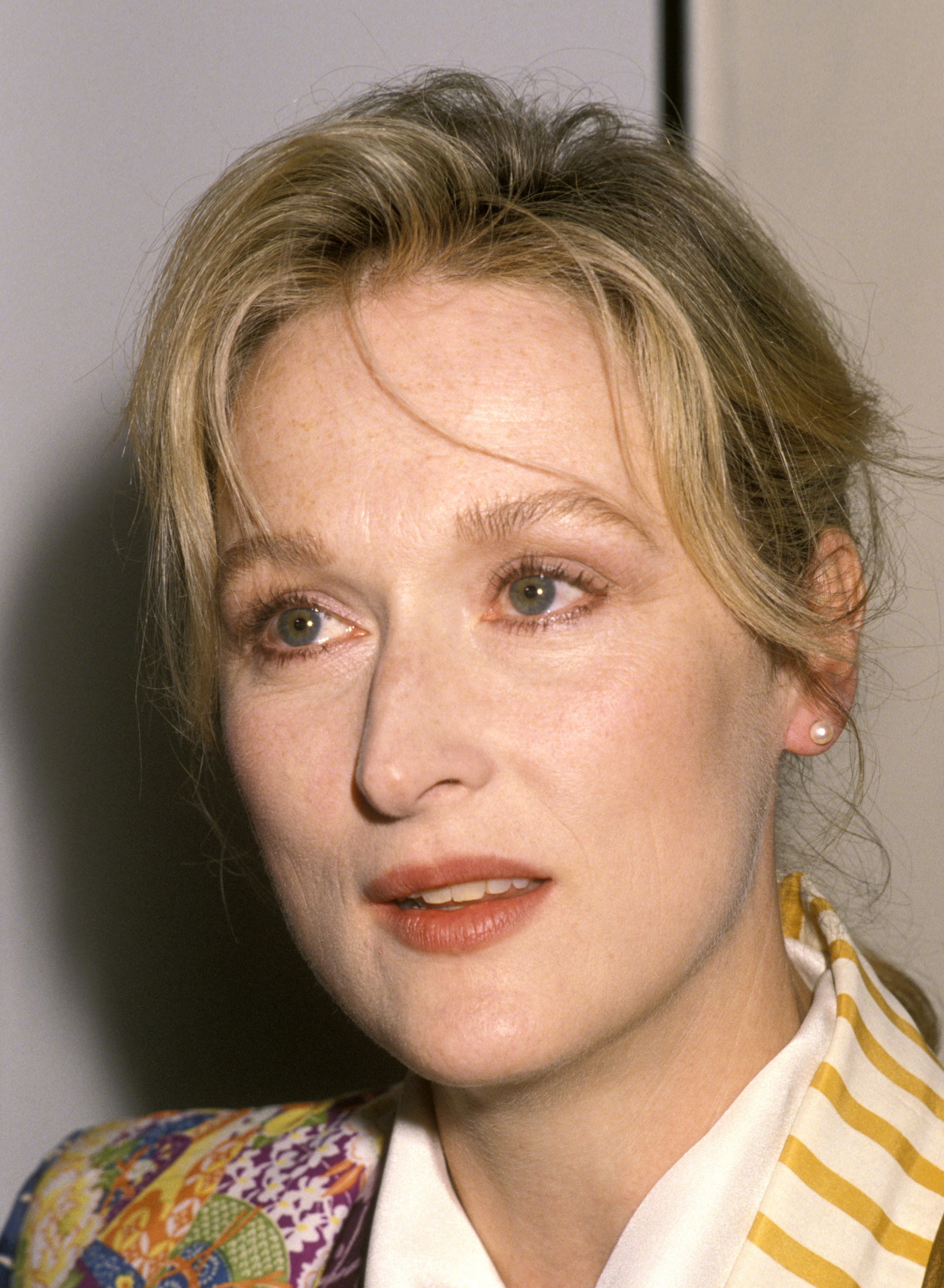 Meryl Streep während der Veranstaltung "Artists Unite for Big Green" am 31. Mai 1990 in Santa Monica, Kalifornien. | Quelle: Getty Images