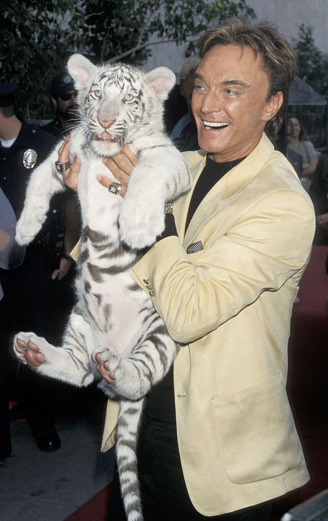 Roy Horn auf dem Hollywood Walk of Fame mit einem Tigerbaby | Quelle: Getty Images