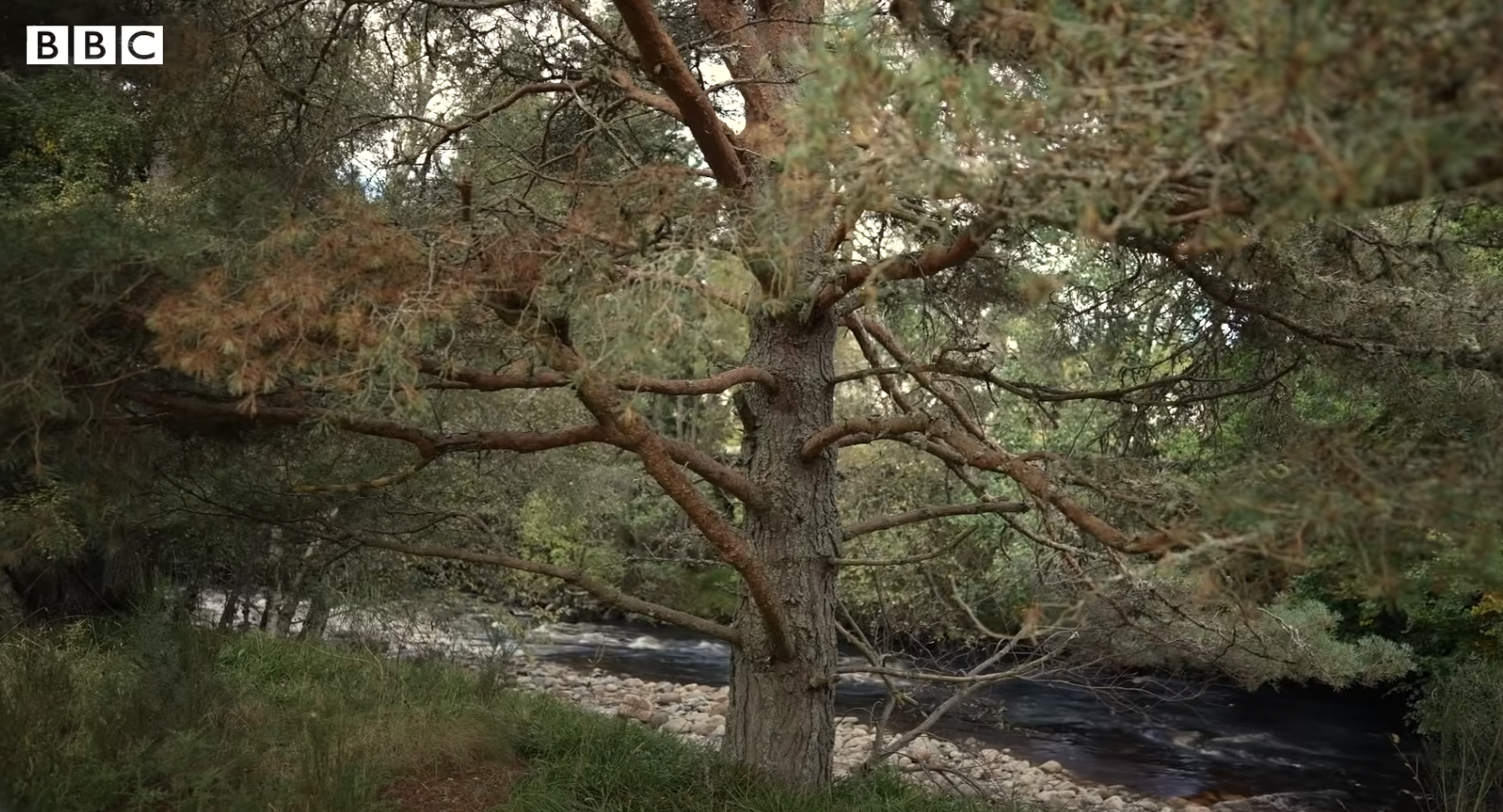 Der Fluss Muick in Balmoral Estate, aus dem Jahr 2022 | Quelle: YouTube/BBC News