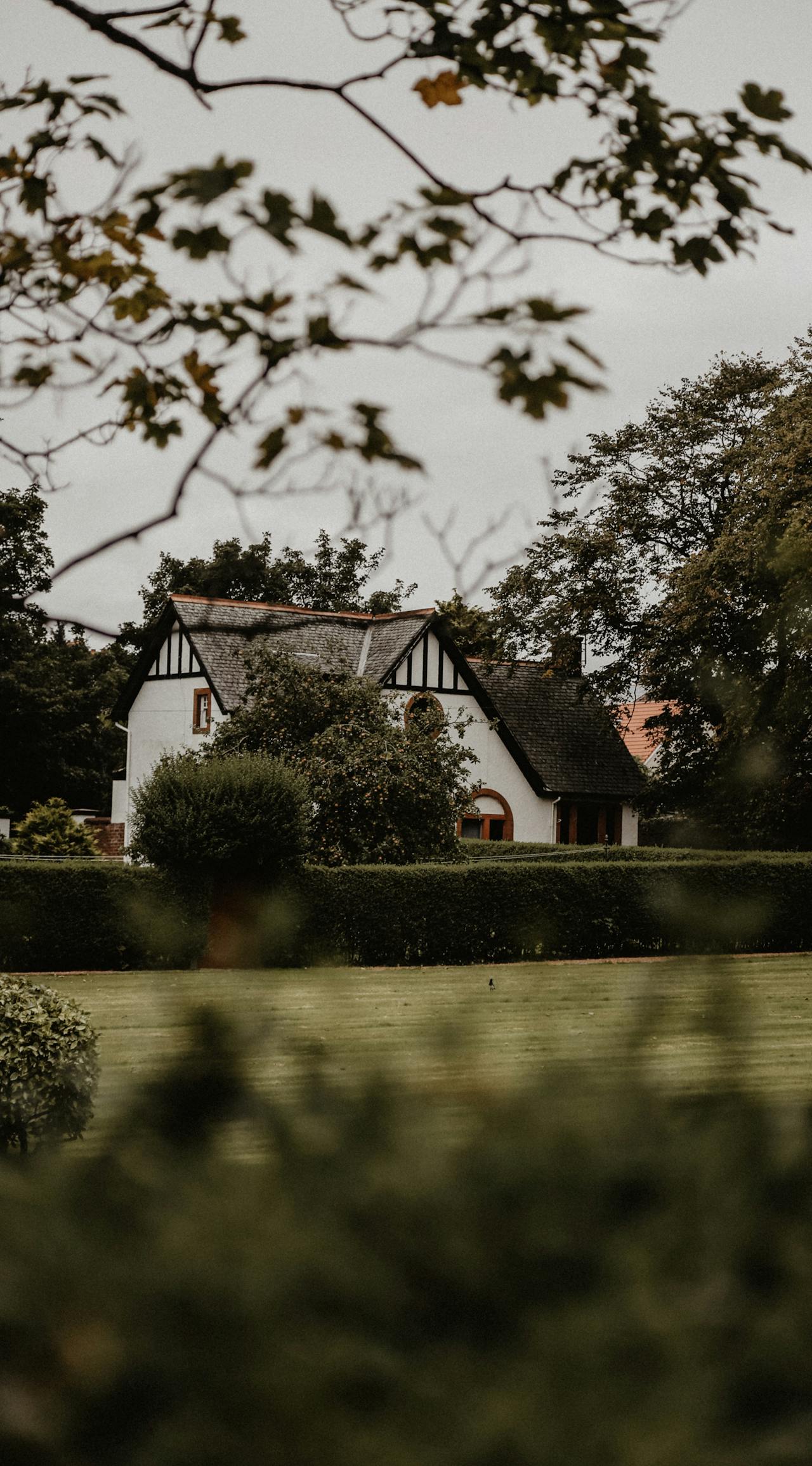 Ein Haus, umgeben von einer Hecke | Quelle: Pexels