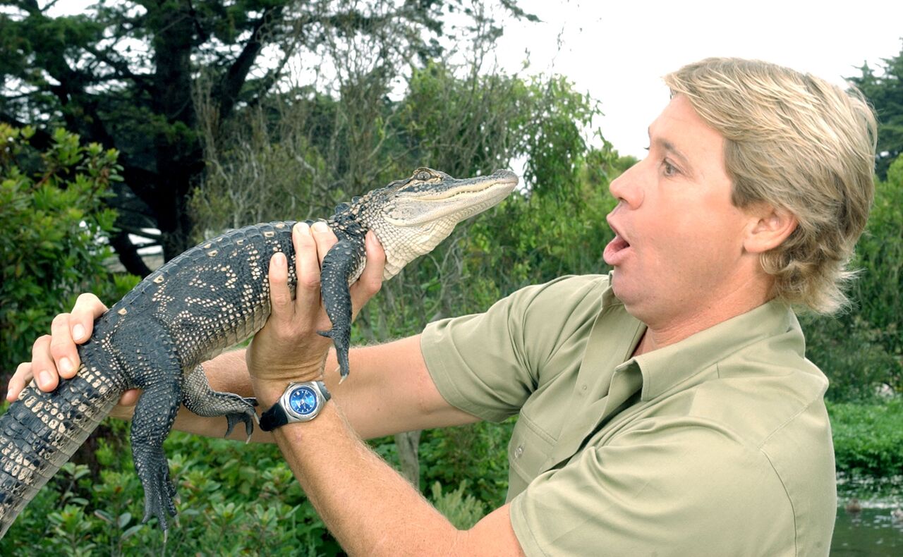 Steve Irwin posiert mit einem drei Fuß langen Alligator. | Quelle: Getty Images