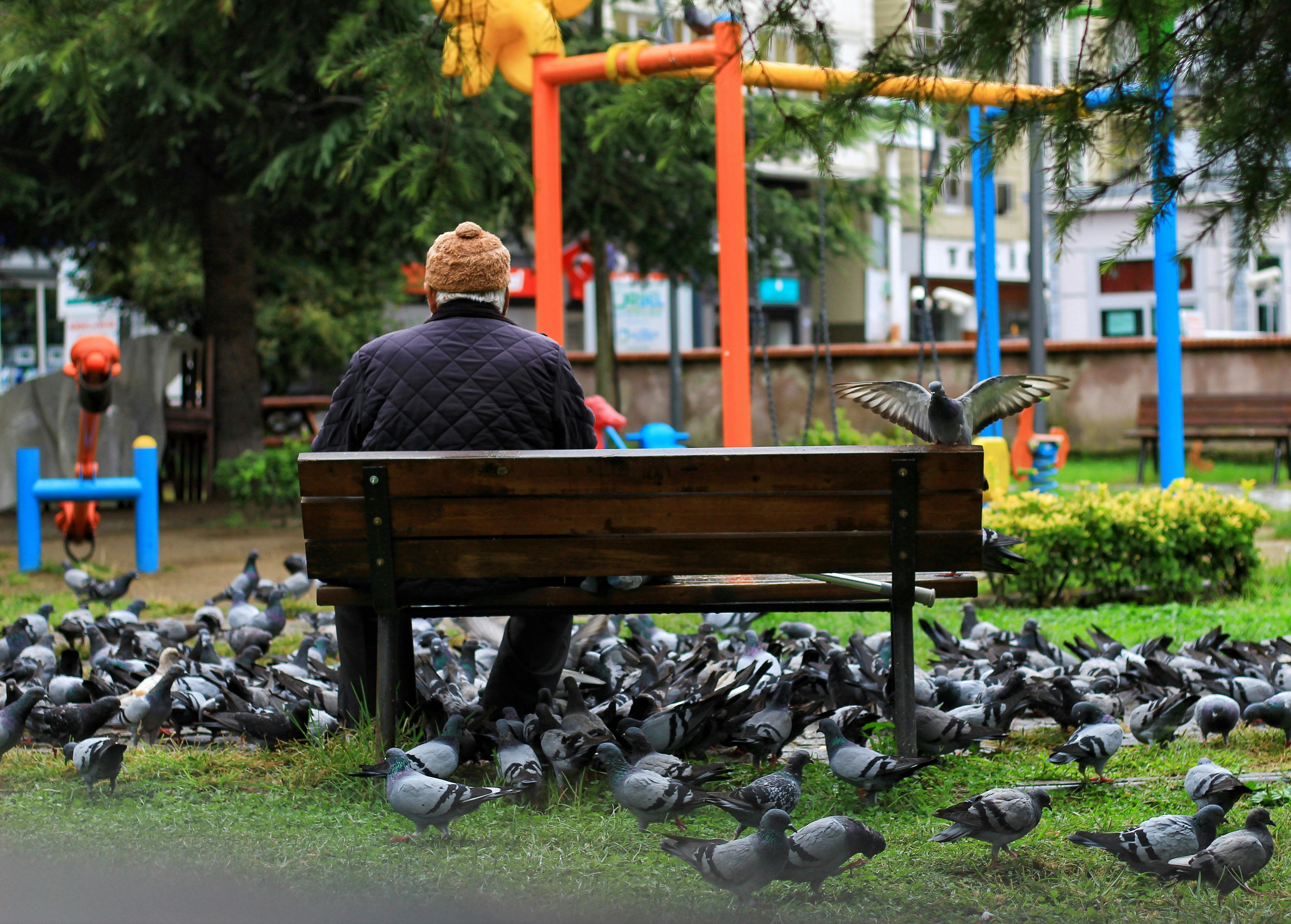 Mann sitzt auf einer Bank in einem Park | Quelle: Pexels