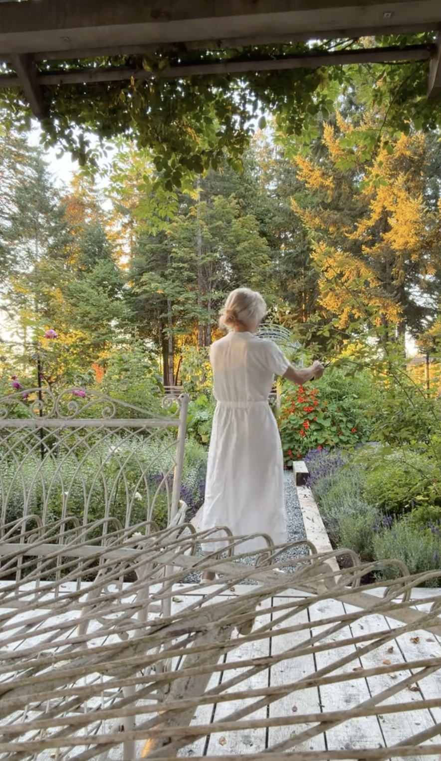 Pamela Anderson kümmert sich in ihrem Garten in Arcady um die Kletterpflanzen – von hinten gesehen in einem himmlisch weißen, kurzärmeligen Midikleid, das im warmen Morgenlicht erstrahlt. Umrahmt von rustikalen Terrassenmöbeln aus Schmiedeeisen, leuchtenden Lavendelbeeten und hohen immergrünen Bäumen teilte sie diese ruhige Szene auf TikTok mit dem lieben Gruß: „Ich wünsche euch einen weiteren schönen Morgen aus dem Garten … habt einen wunderschönen Tag 🌷🤍“. | Quelle: TikTok/pamelaanderson