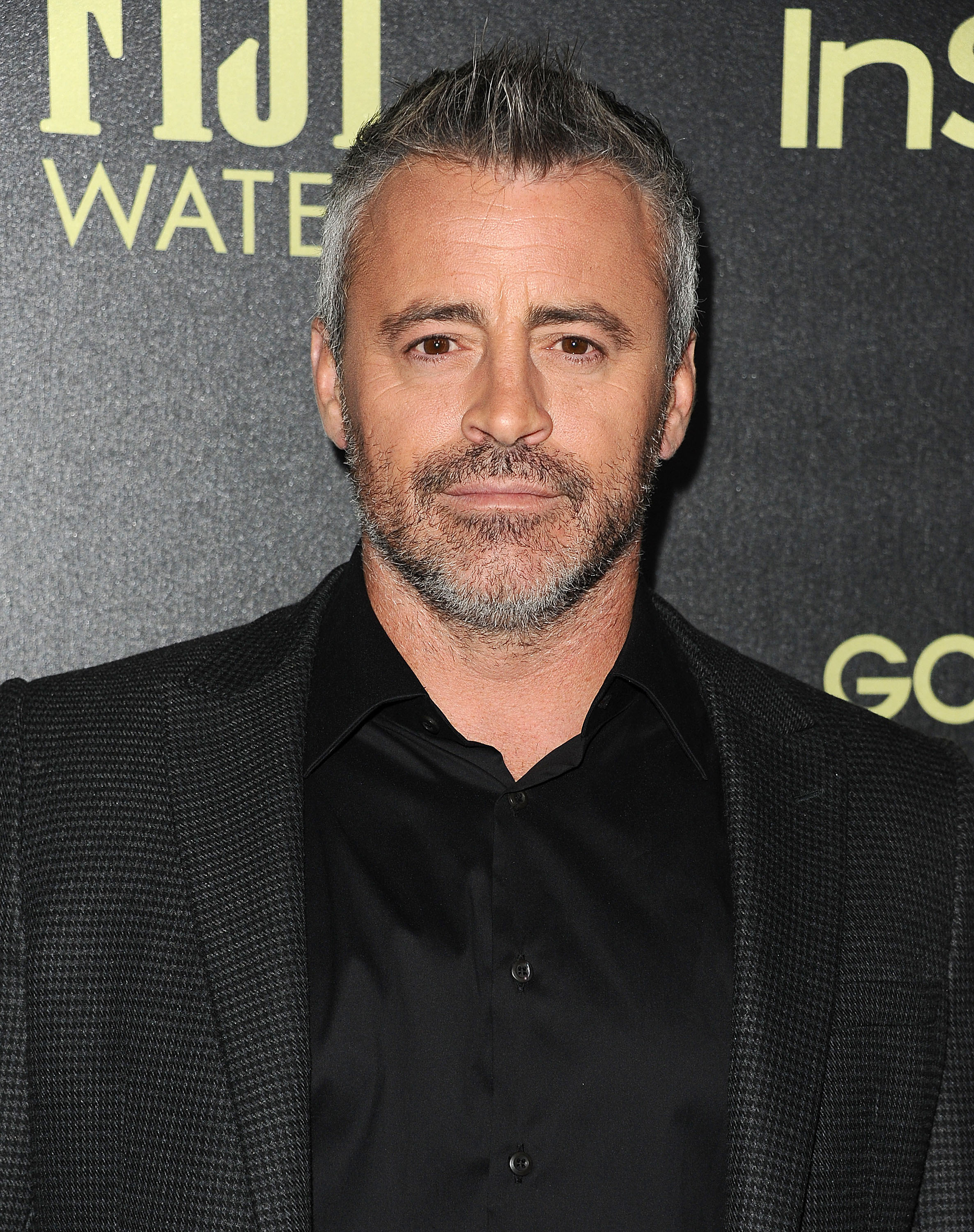 Matt LeBlanc bei der Feier der Hollywood Foreign Press Association und InStyle zur Verleihung der Golden Globe Awards 2016 am 17. November 2015 in West Hollywood, Kalifornien. | Quelle: Getty Images