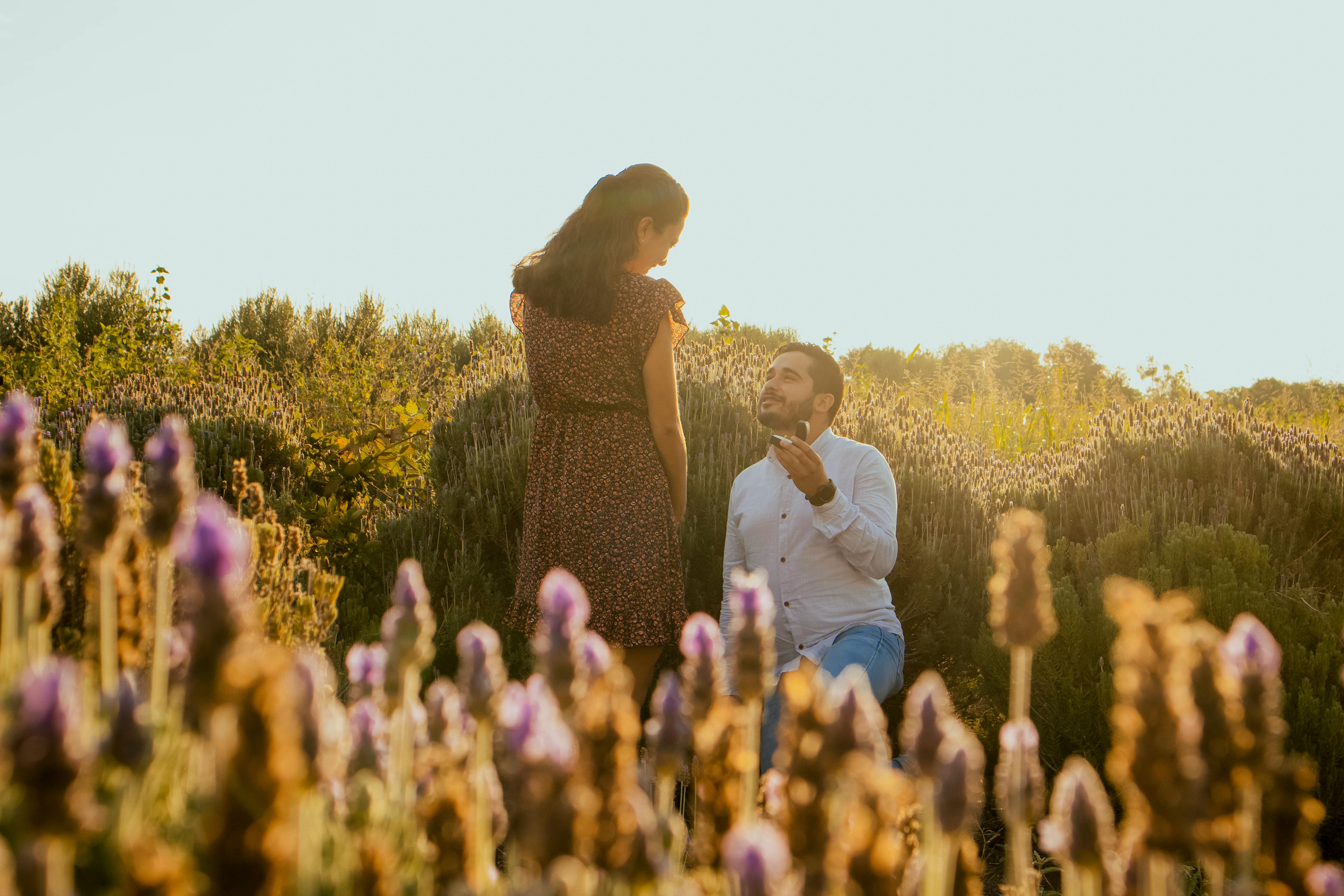 Ein Mann macht seiner Freundin auf einem Lavendelfeld einen Heiratsantrag | Quelle: Pexels