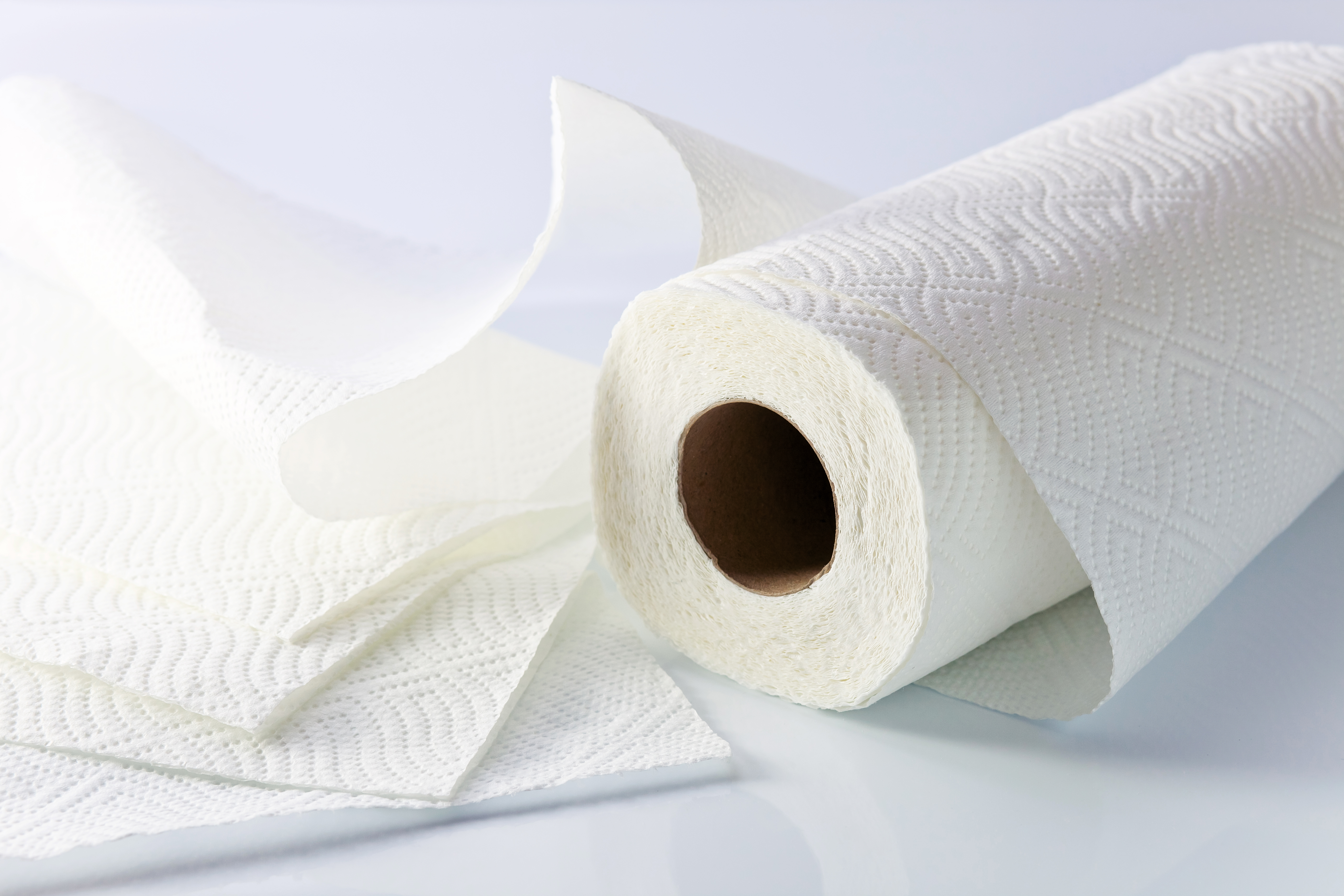 Eine Toilettenpapierrolle | Quelle: Shutterstock