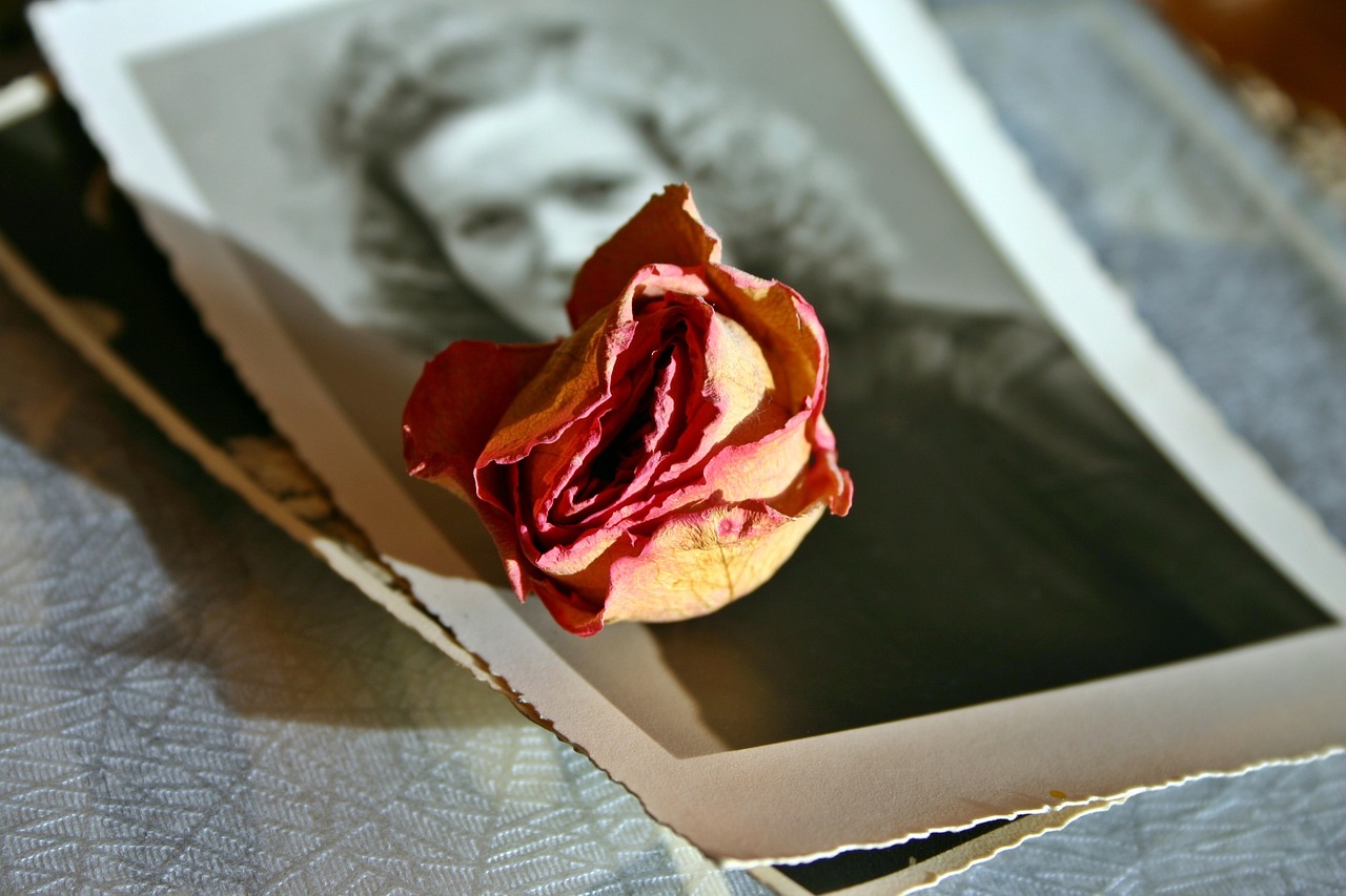 Altes Foto einer Frau mit einer Rose | Quelle: Pixabay