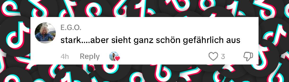 Korrigiert: Die Fans teilen ihre Meinung auf TikTok über Helene Fischers neuesten Auftritt | Quelle: //vt.tiktok.com/ZSQycDbyr