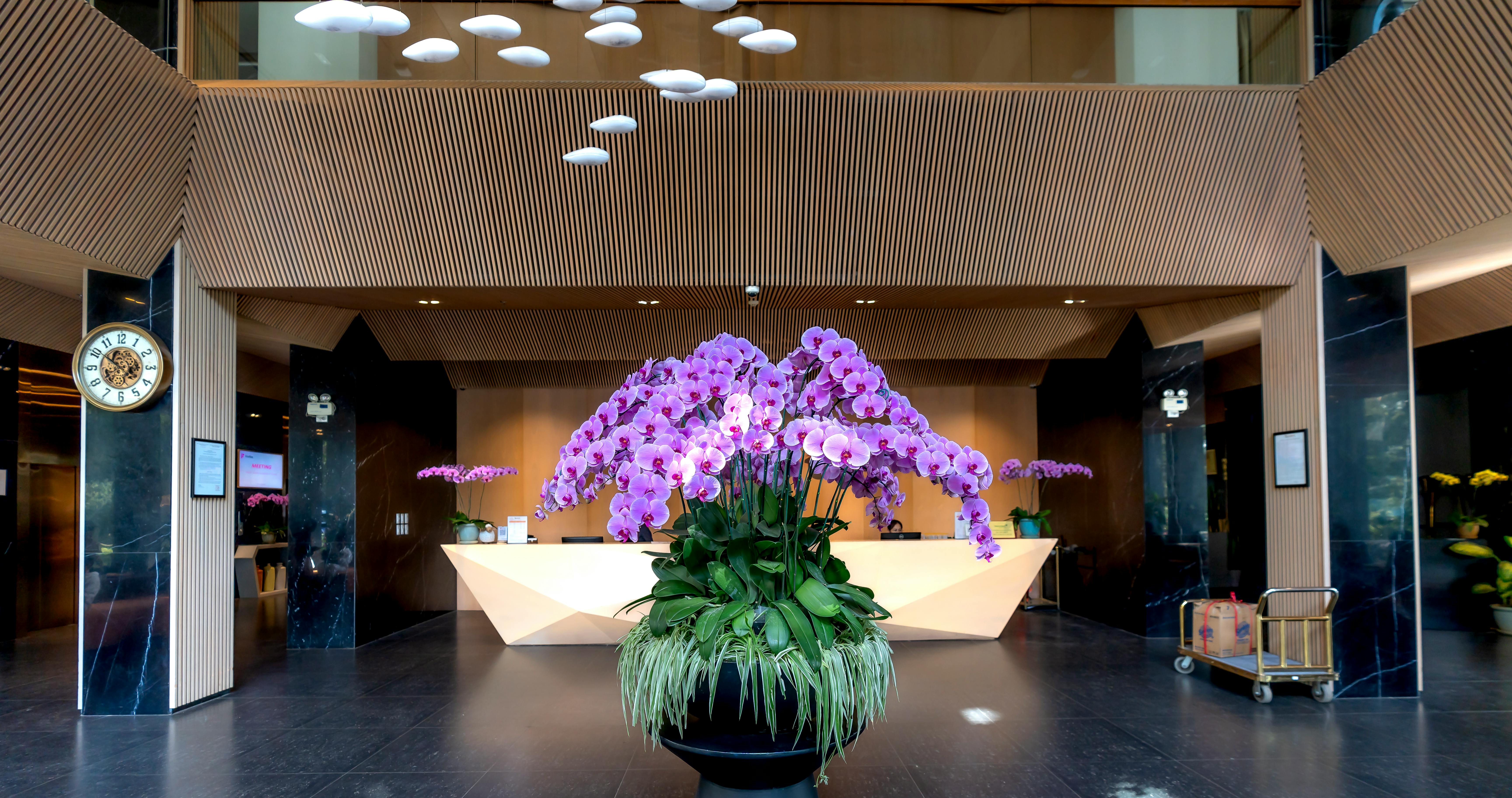 Eine Hotellobby | Quelle: Pexels