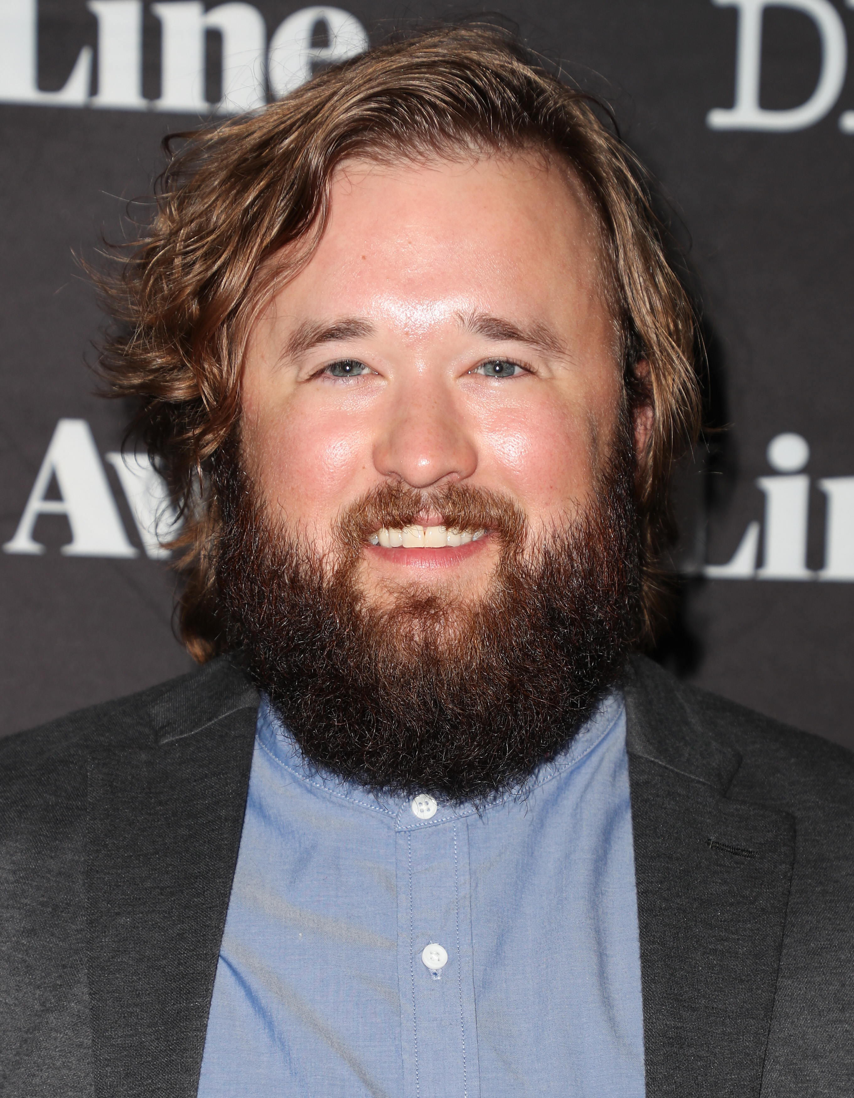 Haley Osment bei der Deadline Hollywood Emmy Season Kickoff Party am 5. Juni 2017 in Los Angeles, Kalifornien. | Quelle: Getty Images