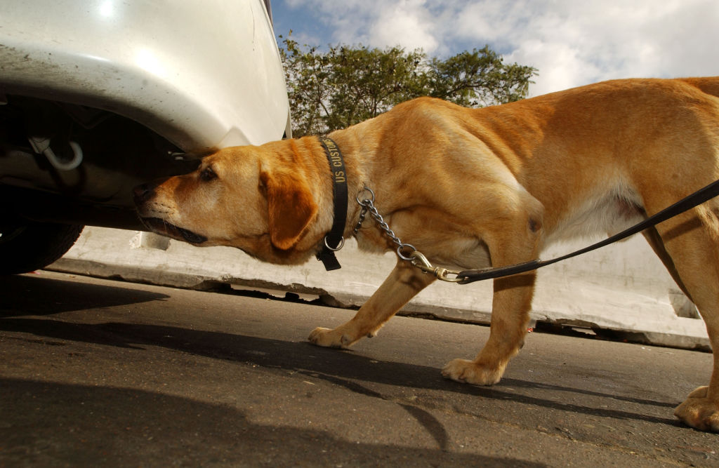 Symbolbild | Quelle: Getty Images