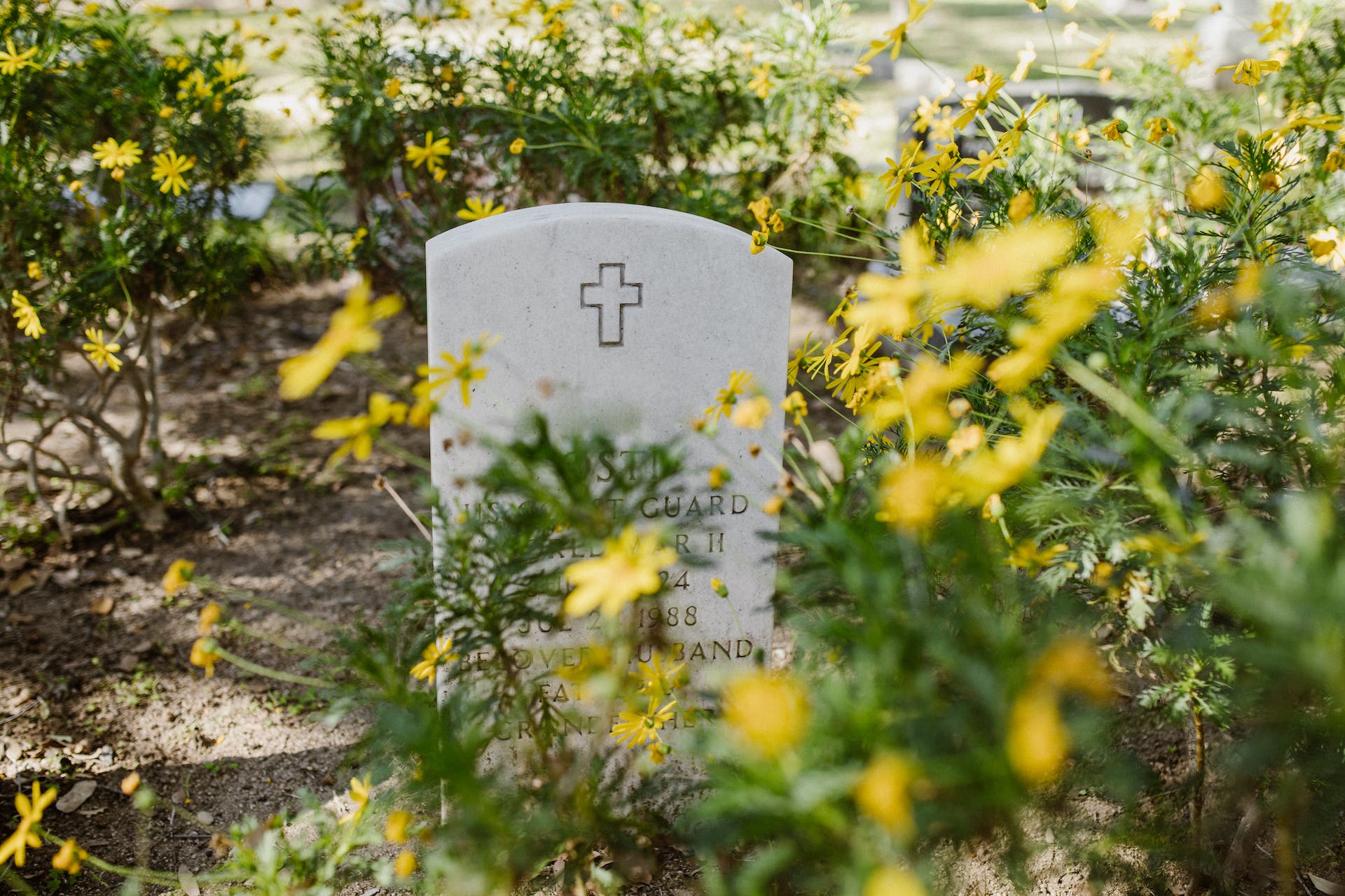 Grabstein umgeben von gelben Blumen | Quelle: Pexels